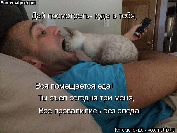 Котоматрица: Дай посмотреть- куда в тебя, Вся помещается еда! Ты съел сегодня три меня, Все провалились без следа!