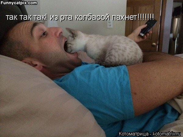 Котоматрица: так так так! из рта колбасой пахнет!!!!!!!