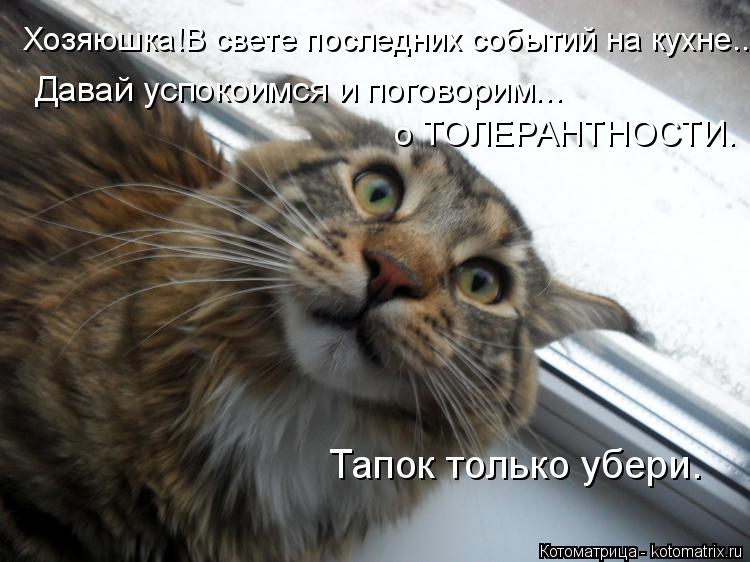 Котоматрица: Хозяюшка!В свете последних событий на кухне... Давай успокоимся и поговорим... о ТОЛЕРАНТНОСТИ. Тапок только убери.