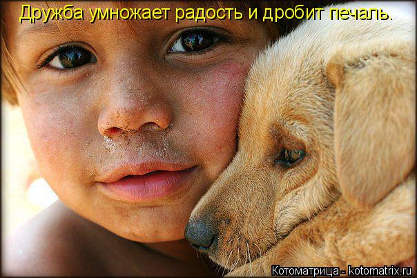 Котоматрица: Дружба умножает радость и дробит печаль.