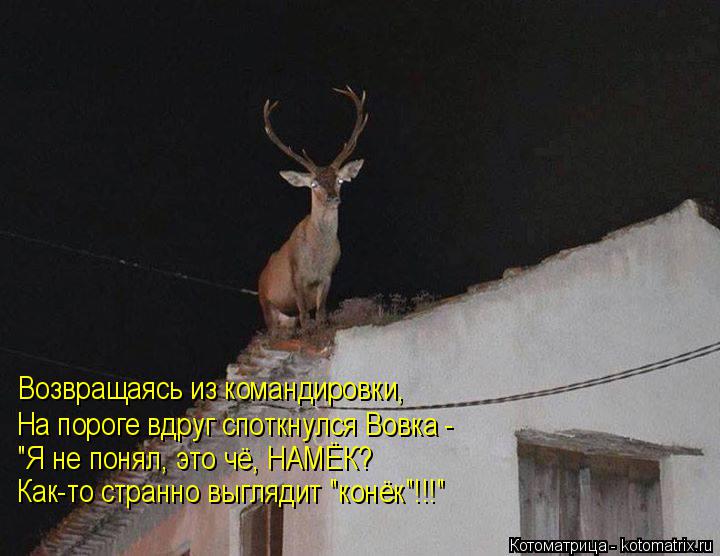 Котоматрица: Возвращаясь из командировки, На пороге вдруг споткнулся Вовка -  "Я не понял, это чё, НАМЁК? Как-то странно выглядит "конёк"!!!"