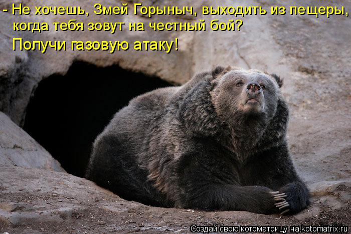 Котоматрица: - Не хочешь, Змей Горыныч, выходить из пещеры, когда тебя зовут на честный бой?  Получи газовую атаку!