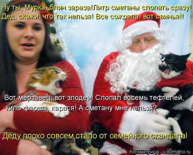 Котоматрица: Ну ты, Мурка, блин зараза!Литр сметаны слопать сразу!  Дед, скажи, что так нельзя! Все сожрала, вот свинья!! Вот мерзавец, вот злодей! Слопал вос