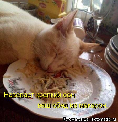 Котоматрица: Навевает крепкий сон, ваш обед из макарон..