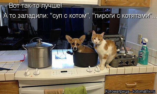 Котоматрица: А то заладили: "суп с котом", "пироги с котятами"… - Вот так-то лучше!