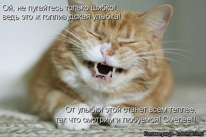 Котоматрица: Ой, не пугайтесь только шибко!... ведь это ж голливудская улыбка! От улыбки этой станет всем теплее,  так что смотрим и любуемся! Смелее!!