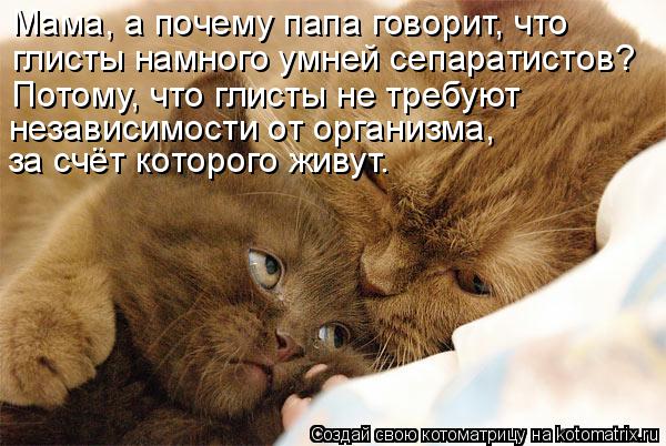 Котоматрица: Мама, а почему папа говорит, что глисты намного умней сепаратистов?  Потому, что глисты не требуют независимости от организма, за счёт котор