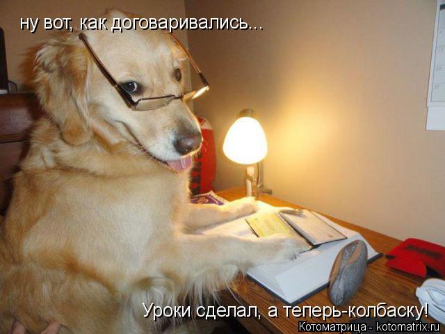 Котоматрица: ну вот, как договаривались...Уроки сделал, а теперь-колбаску! ну вот, как договаривались... Уроки сделал, а теперь-колбаску!