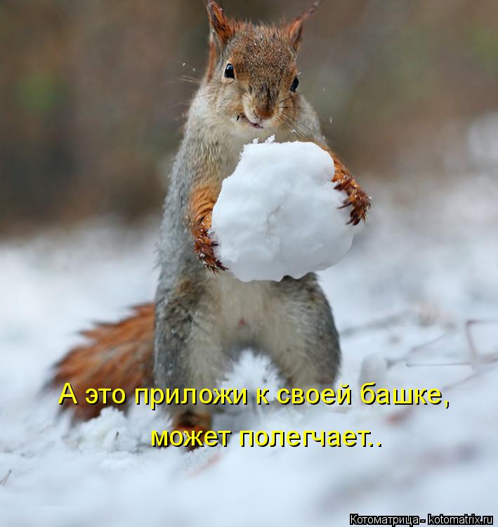 Котоматрица: А это приложи к своей башке, может полегчает..