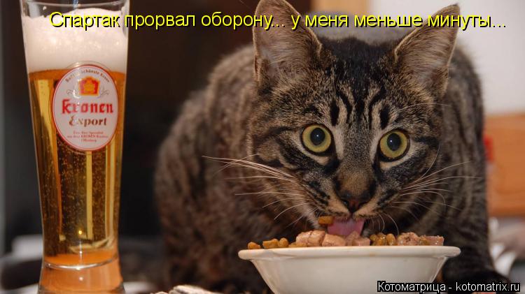 Котоматрица: Спартак прорвал оборону... у меня меньше минуты...