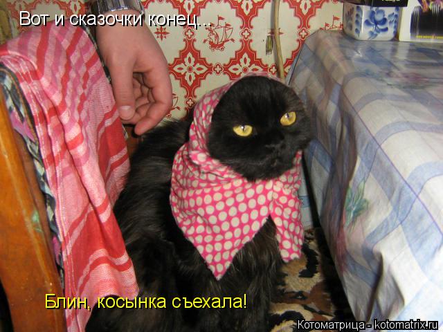 Котоматрица: Вот и сказочки конец... Блин, косынка съехала!