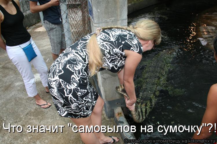 Что значит "самовылов на сумочку"?!... Котоматрица: Что значит "самовылов на сумочку"?!