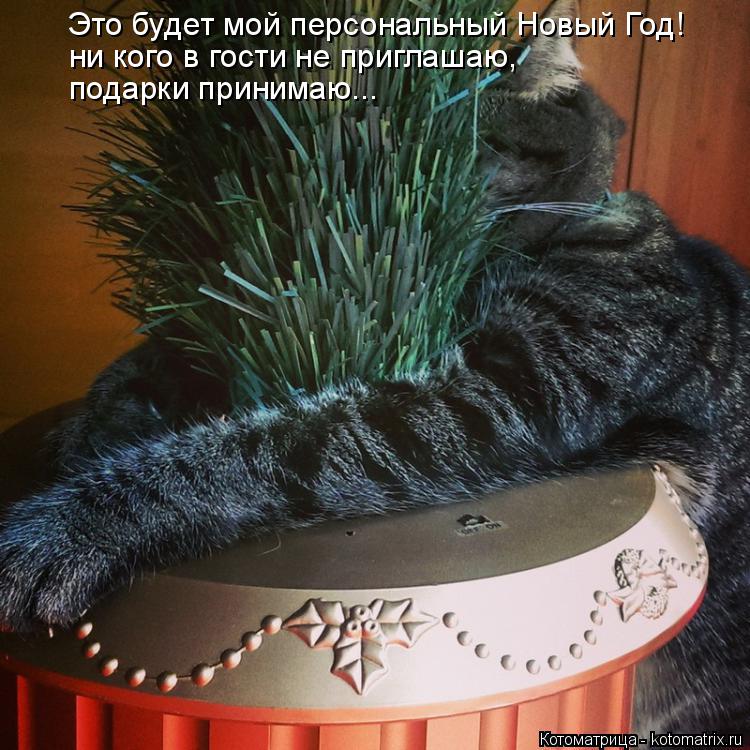 Котоматрица: Это будет мой персональный Новый Год! ни кого в гости не приглашаю,  подарки принимаю...