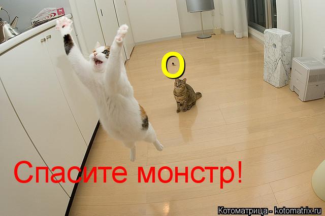 Котоматрица: Спасите монстр! о