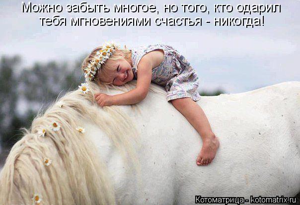 Котоматрица: Можно забыть многое, но того, кто одарил тебя мгновениями счастья - никогда!