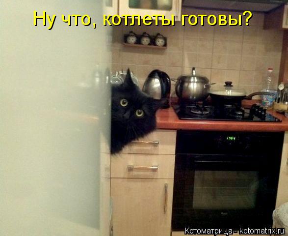 Котоматрица: Ну что, котлеты готовы?
