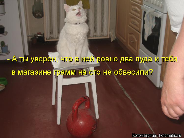 Котоматрица: - А ты уверен, что в ней ровно два пуда и тебя  в магазине грамм на сто не обвесили?