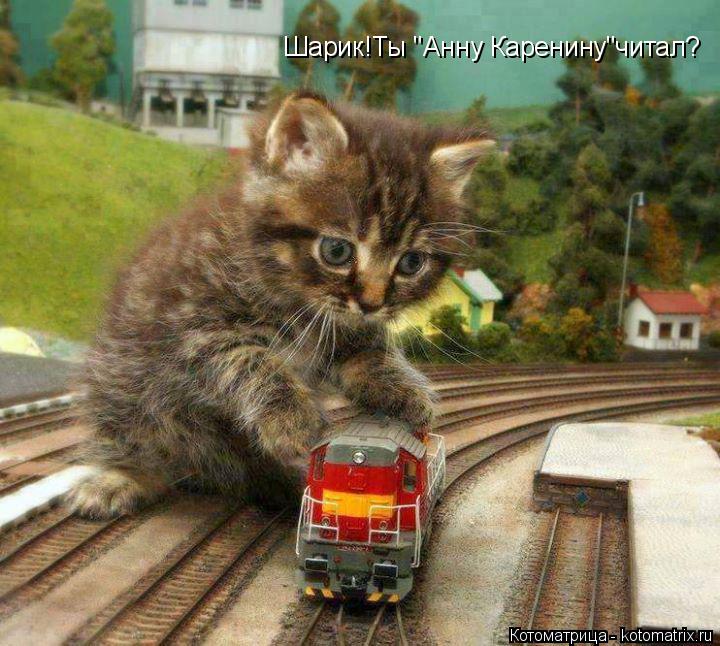 Котоматрица: Шарик!Ты "Анну Каренину"читал?