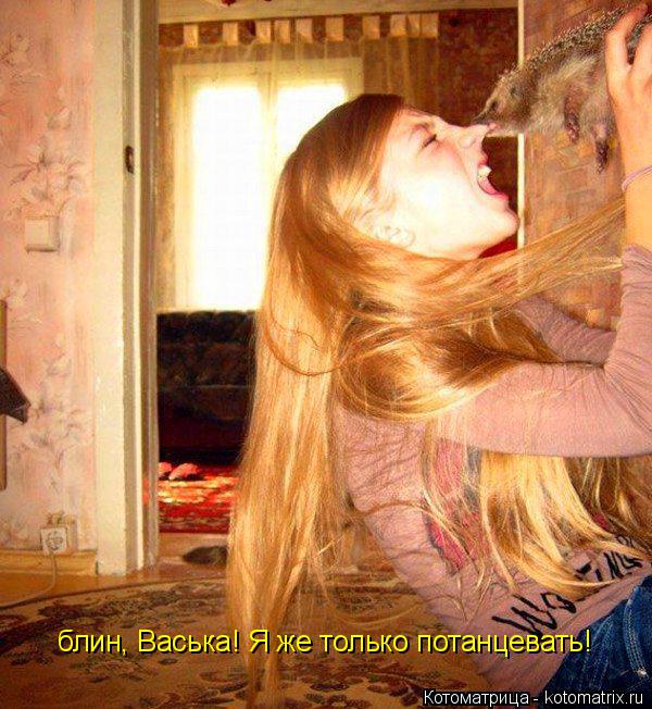 Котоматрица: блин, Васька! Я же только потанцевать!
