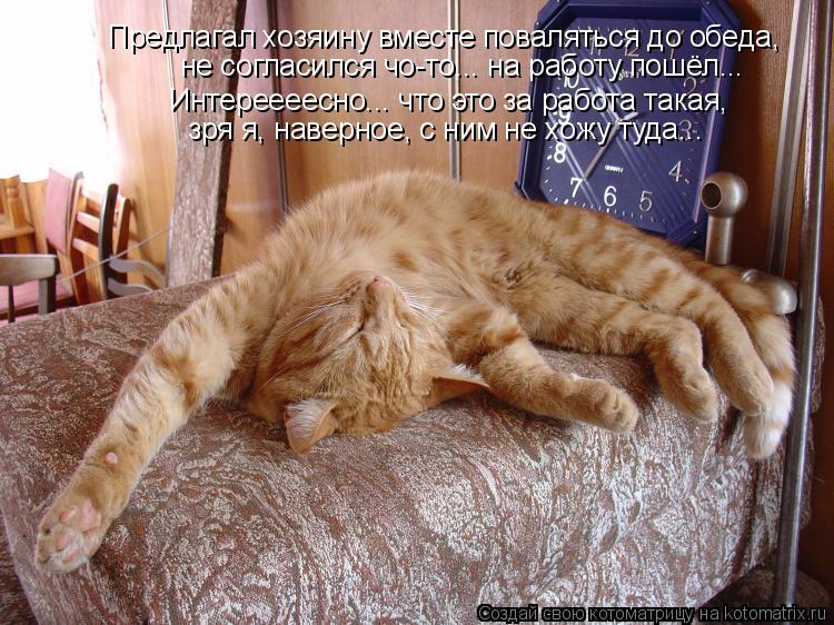 Котоматрица: Предлагал хозяину вместе поваляться до обеда,  не согласился чо-то... на работу пошёл... Интереееесно... что это за работа такая,  зря я, наверно