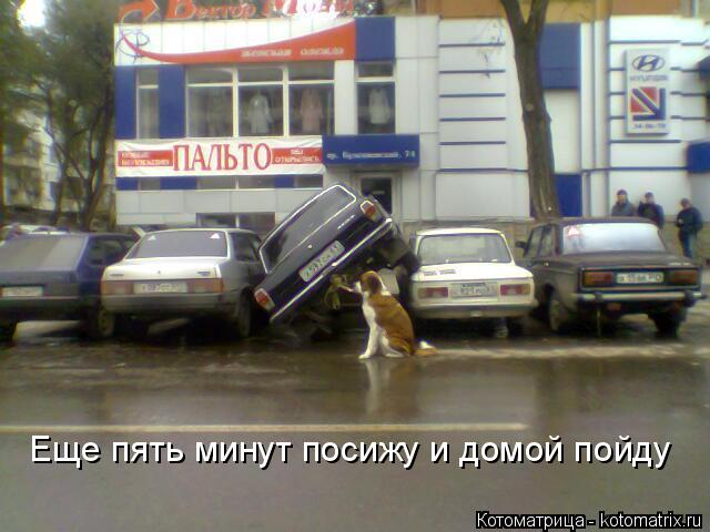 Котоматрица: Еще пять минут посижу и домой пойду