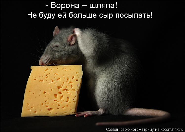 Котоматрица: - Ворона – шляпа! Не буду ей больше сыр посылать!