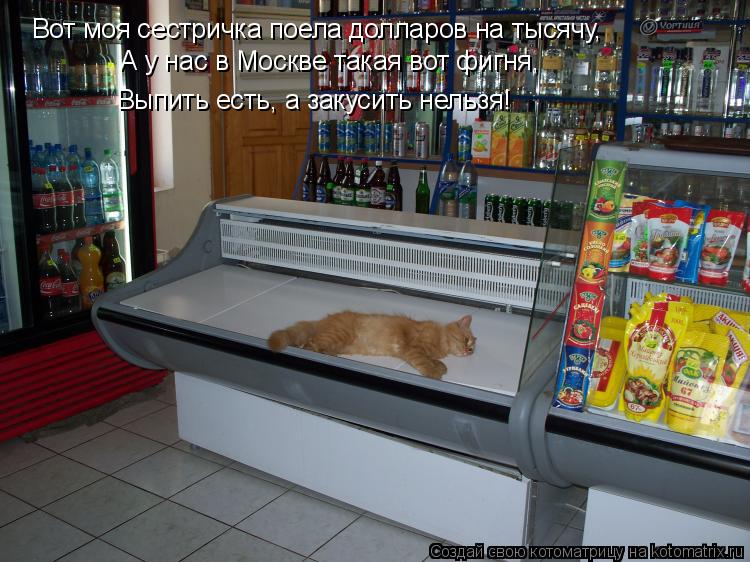 Котоматрица: Вот моя сестричка поела долларов на тысячу, А у нас в Москве такая вот фигня,  Выпить есть, а закусить нельзя!