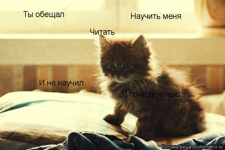 Котоматрица: Ты обещал  Научить меня Читать И не научил Я прийду ночью