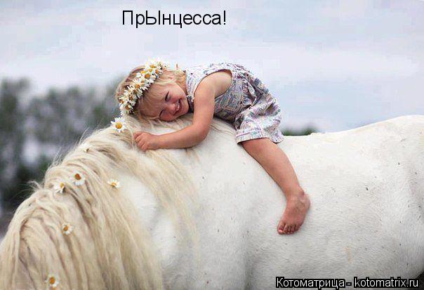Котоматрица: ПрЫнцесса!