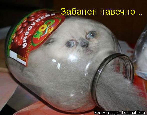Котоматрица: Забанен навечно ..