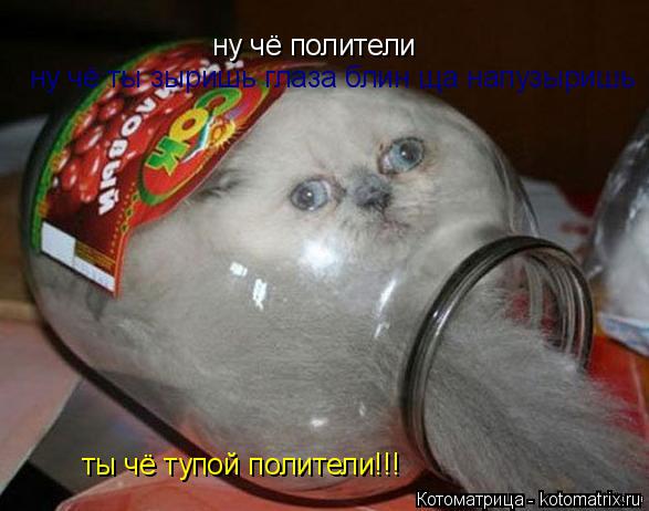 Котоматрица: ну чё полители ну чё ты зыришь глаза блин ща напузыришь  ты чё тупой полители!!!