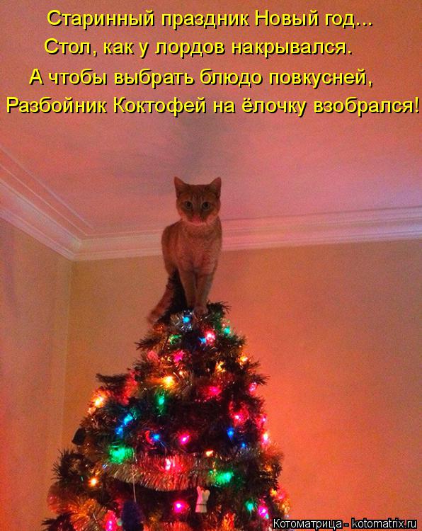 Котоматрица: Старинный праздник Новый год... Стол, как у лордов накрывался. А чтобы выбрать блюдо повкусней, Разбойник Коктофей на ёлочку взобрался!