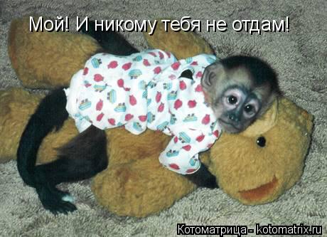 Котоматрица: Мой! И никому тебя не отдам!