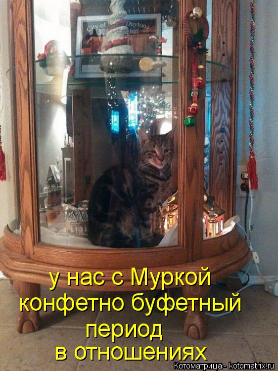Котоматрица: у нас с Муркой  в отношениях конфетно буфетный период