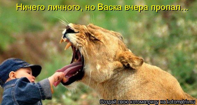 Котоматрица: Ничего личного, но Васка вчера пропал...