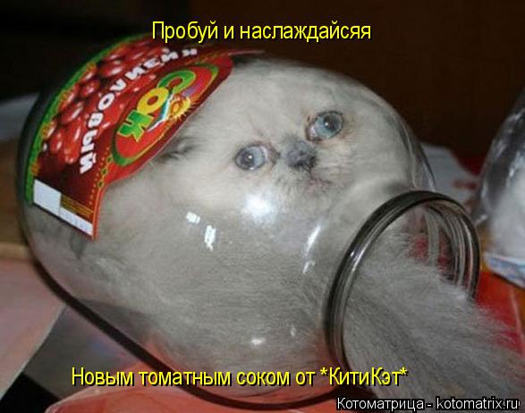 Котоматрица: Пробуй и наслаждайсяя Новым томатным соком от *КитиКэт*
