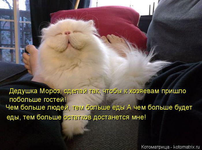 Котоматрица: Чем больше людей, тем больше еды.А чем больше будет  Дедушка Мороз, сделай так, чтобы к хозяевам пришло побольше гостей! еды, тем больше остат