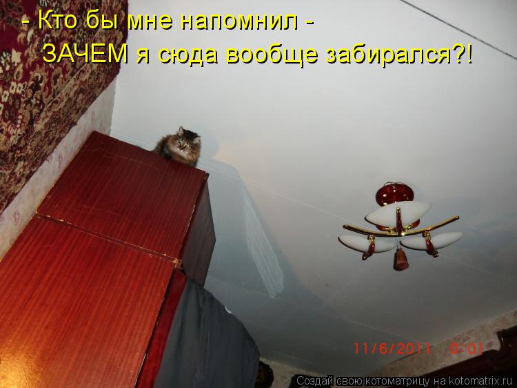 - Кто бы мне напомнил - ЗАЧЕМ я сюда вообще забирался?!... Котоматрица: - Кто бы мне напомнил - ЗАЧЕМ я сюда вообще забирался?!