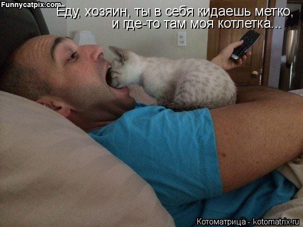 Котоматрица: и где-то там моя котлетка... Еду, хозяин, ты в себя кидаешь метко,