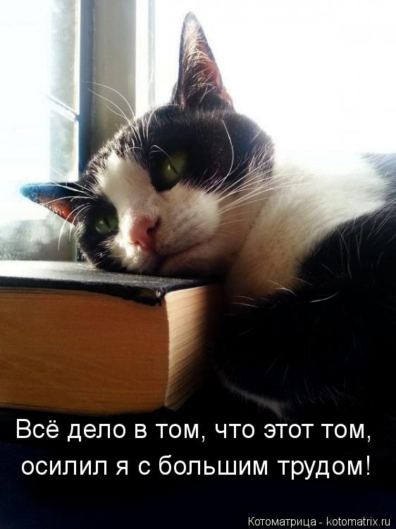 Котоматрица: Всё дело в том, что этот том, осилил я с большим трудом!