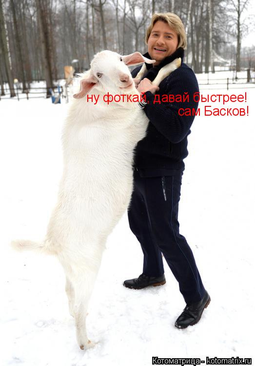 Котоматрица: ну фоткай, давай быстрее! сам Басков!