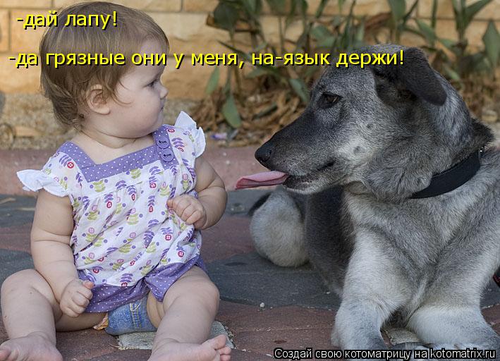 Котоматрица: -дай лапу! -да грязные они у меня, на-язык держи!