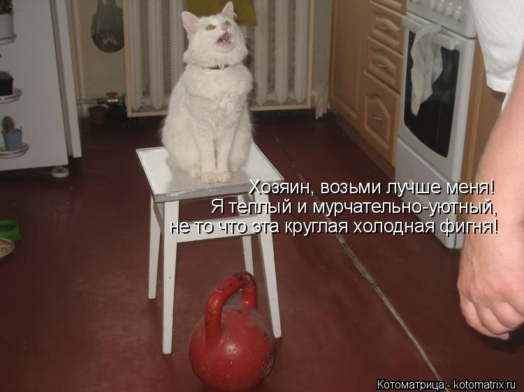 Котоматрица: Хозяин, возьми лучше меня! Я теплый и мурчательно-уютный,  не то что эта круглая холодная фигня!