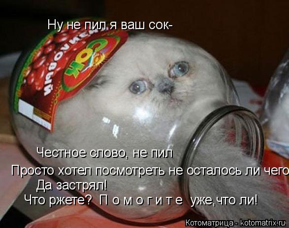 Котоматрица: Ну не пил я ваш сок- Честное слово, не пил Просто хотел посмотреть не осталось ли чего Да застрял! Что ржете?  П о м о г и т е  уже,что ли!