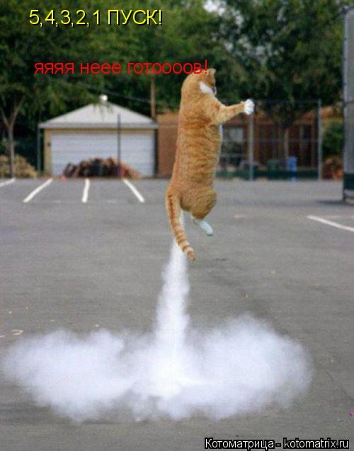 5,4,3,2,1 ПУСК! яяяя неее готоооов!... Котоматрица: 5,4,3,2,1 ПУСК! яяяя неее готоооов!