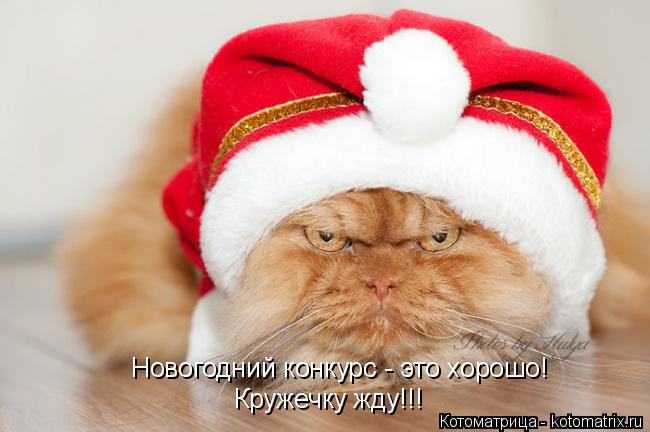 Котоматрица: Кружечку жду!!! Новогодний конкурс - это хорошо!