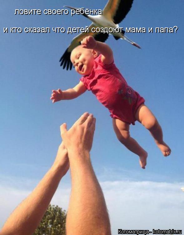 ловите своего ребёнка и кто сказал что детей создоют мама и папа?... Котоматрица: ловите своего ребёнка и кто сказал что детей создоют мама и папа?