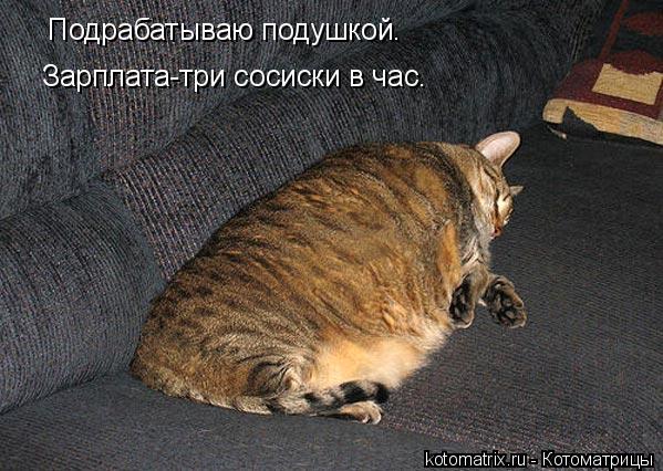 Котоматрица: Подрабатываю подушкой. Зарплата-три сосиски в час.
