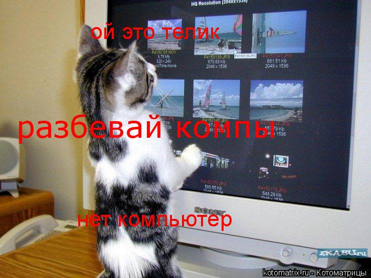 Котоматрица: ой это телик  нет компьютер  разбевай компы