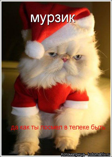Котоматрица: мурзик да как ты посмел в телеке быть